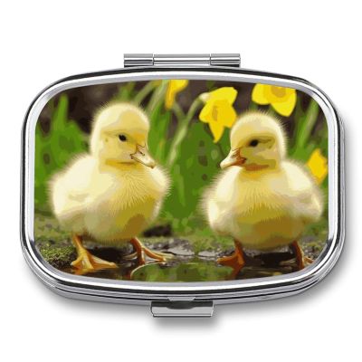 Cute Ducks Pill Box 2 Compartment Portable Travel Pill Case with Mirror Square Metal Medicines Storage Container Pocket Medicine Box to Hold Vitamins Fish Oil