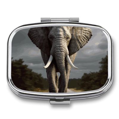 3D Elephant Pill Box 2 Compartment Portable Travel Pill Case with Mirror Square Metal Medicines Storage Container Pocket Medicine Box to Hold Vitamins Fish Oil