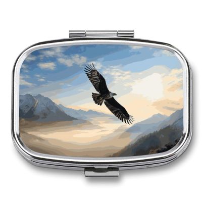 Eagle Mountains Pill Box 2 Compartment Portable Travel Pill Case with Mirror Square Metal Medicines Storage Container Pocket Medicine Box to Hold Vitamins Fish Oil