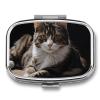 Tabby Cat Pill Box 2 Compartment Portable Travel Pill Case with Mirror Square Metal Medicines Storage Container Pocket Medicine Box to Hold Vitamins Fish Oil view 1