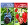 Freeze-Dried Berry Medley Healthy, Gluten-Free, No Sugar Added, Crispy & Delicious Fruit Snacks for Kids & Adults, Ideal for Cereal, Smoothies, School Lunches, On-the-Go Freeze Dried Fresh Fruit Bites (Bags of 2 (1.0 OZ Each), Strawberries/Blueberr view 1