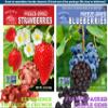 Freeze-Dried Berry Medley Healthy, Gluten-Free, No Sugar Added, Crispy & Delicious Fruit Snacks for Kids & Adults, Ideal for Cereal, Smoothies, School Lunches, On-the-Go Freeze Dried Fresh Fruit Bites (Bags of 2 (1.0 OZ Each), Strawberries/Blueberr view 2