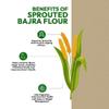 500gm Sprouted Bajra Flour (Sajjalu/Kambu/Bajri aata) | 100% Natural | Fibre, Protein & Vit. B Rich Healthy Meal | Naturally Gluten-Free | Pearl Millet Flour- 0.5Kg view 2