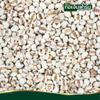 Premium Raw Job's Tears - Hulled Adlay Millet, Gluten-Free Whole Grain for Soups, Salads, and Traditional Porridge - Nutrient-Dense Cereal Grain (400g) view 3