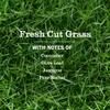 MRS. MEYER'S CLEAN DAY Premium Scented Oil Refills, Fresh Cut Grass, Contains 2 .67 fl oz Refills view 2
