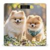 Pomeranians Puppies Scale for Body Weight Accurate Digital Bathroom Scale Toughened Glass High Precision Scales Smart Weight Scales with Large LCD Backlight Display Weighing Machine view 1