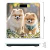 Pomeranians Puppies Scale for Body Weight Accurate Digital Bathroom Scale Toughened Glass High Precision Scales Smart Weight Scales with Large LCD Backlight Display Weighing Machine view 2
