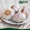 Dried Garlic Flakes Aromatic Dehydrated Garlic for Cooking, Seasoning, and Flavoring 100g view 3