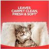 High Traffic Carpet Cleaner Foam, Unscented, 3X Dirt Removal, Stain-Resistant Carpet Solution and Odor Remover, 22 oz, 1 pack view 3
