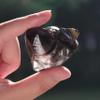 0.45lb Raw Black Obsidian, Natural Crystals, Healing Stones for Protection view 4