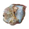 Druzy Petrified Wood: Polished Agatized Collectable, Turkey Sourced view 1