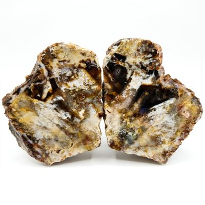 Watercolor Agate | Earthy Browns, Creams, and Soft Grays Blend Together | Calming Stone, Collectible Mineral