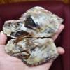 Watercolor Agate | Earthy Browns, Creams, and Soft Grays Blend Together | Calming Stone, Collectible Mineral view 2