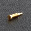 200pcs Size 2.0x1.2x6.4mm-8.0mm 2.0x1.4x6.4mm-8.0mm Eyewear Optical Eyeglasses Screw Gold Self Aligning Screws Repair Glasses(2.0x1.2x7.0mm) view 4