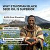 FW ZONE Ethiopian Black Seed Oil Softgels4.64% ThymoquinoneQuality Cold-PressedNon-GMO, Gluten-Free, 60 Softgels for Immune & Digestive Support view 2