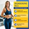 B BEWORTHS Berberine HCL Supplement - Berberine with Ceylon Cinnamon, NAC, Milk Thistle Metabolism & Liver Support | Liposomal Berberine with Turmeric, Choline for Cholesterol, Digestion Health - 120 view 2