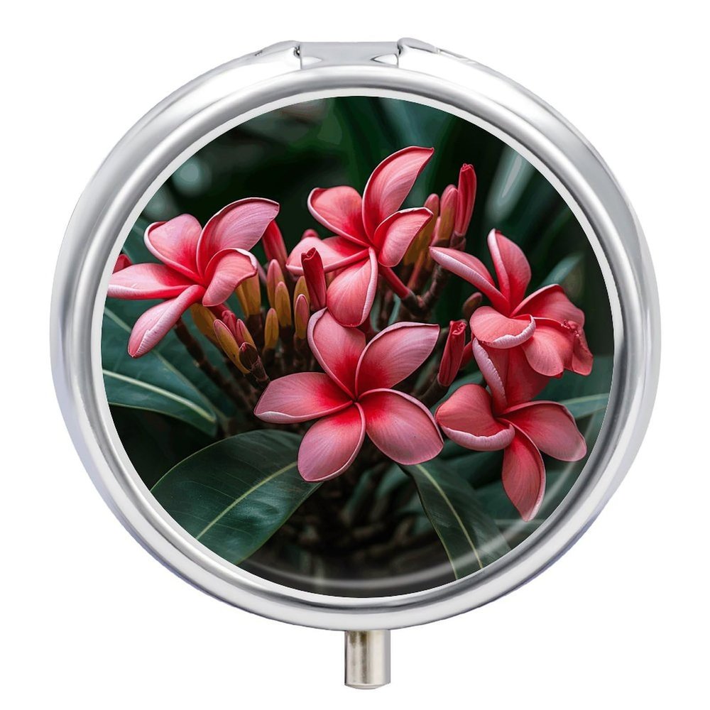Plumeria Round Pill Box Unique 3 Compartment Pill Case Portable Fish Oil Cases Cute Small Round Pill Boxes with Mirror for Vitamins Medication Supplements