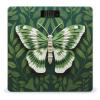 White Moth Scale for Body Weight Anti-Slip Tempered Glass Digital Bathroom Scales Clear LCD Display Weighing Scale Safe Rounded Corners Smart Scales view 1