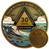 30 Day Waves Sobriety Coin - Third Step Prayer AA Medallion, Premium Recovery Token for One Month Sober, Sponsor & Sponsee Gifts, 30 Days Sober Milestone Chip for Women and Men view 1