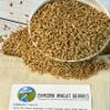 CLEAR CREEK Certified Glyphosate Residue Free Einkorn Wheat Berries | 18 lb bag | Non-GMO Project Verified view 3