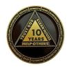 10 Year Skull Sobriety Coin- Sobriety Anniversary- AA Coins and Medallions- Unique Sobriety Gift- AA Milestone Coin- Sobriety Chips and Sobriety Coins view 2