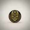 10 Year Skull Sobriety Coin- Sobriety Anniversary- AA Coins and Medallions- Unique Sobriety Gift- AA Milestone Coin- Sobriety Chips and Sobriety Coins view 3