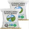 CLEAR CREEK Certified Glyphosate Residue Free Einkorn Wheat Berries | 36 lb (2-18 lb bags) | Non-GMO Project Verified view 1