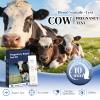 Bovine Pregnancy Test Kit (2 Pack) - Fast Serum/Plasma Detection for Cows, High Sensitivity Early Pregnancy Test for Dairy & Beef Cattle - Results in Just 5-20 Minutes view 2