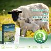 2-Pack Sheep & Goat Pregnancy Test Kit - Quick 5-10 Minute Urine Detection Kit for Early Breeding Confirmation, Reliable Livestock Testing for Home Farms view 2
