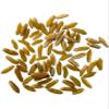 CLEAR CREEK Certified Glyphosate Residue Free Khorasan Wheat Berries | 25 lb bucket | Non-GMO Project Verified view 2