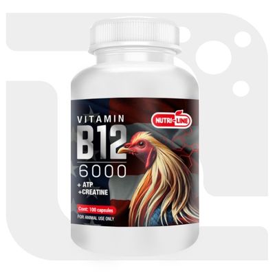 B12 6000 Poultry Vitamin for Chickens & Roosters Supports Energy - Nutri-Line 100 Tablets