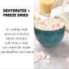 Extra Crunchy Cereal Marshmallows, 7oz Resealable Pouch Dual-Crunched (Dehydrated & Freeze-Dried) Multi-Color Mini Mallow Bits for Baking and Cocoa view 3