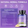 MEGNETA Lymphatic Drainage Capsules - |with Echinacea | Elderberry | Dandelion - 90 Day Supply view 2