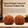 ACMEDICA Natural Chinese Wenwan Walnuts, 1 Pair 1.8" Chinese Walnuts, Wen Wan Walnuts for Palm Exercise, Traditional Hand Massage Gadget Set for Fathers Elders Collectors (1 Pair) view 3