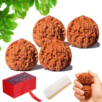 ACMEDICA Natural Chinese Wenwan Walnuts, 1 Pair 1.8" Chinese Walnuts, Wen Wan Walnuts for Palm Exercise, Traditional Hand Massage Gadget Set for Fathers Elders Collectors (2 Pair)
