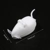 BIYAER Tooth Storage for Case Tooth Box for view 4
