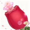 2026 Efficient Version Travel Pocket Bullet Tool Powerful Quiet 10 Modes Mini Stick,Handheld Personal Bullet Massage Rod for Women Portable Silicone Massage for Body Relax Red C19 view 1