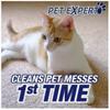 R'esolves Pet Expert High Traffic Carpet Cleaner Foam, and Dirt Removal, 1 Pack 22oz, 3X Pet Hair view 2