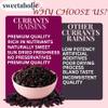 Dried Currants Raisins 1 Pound, No Added Sugar, Naturally Sweet Healthy Snack, Premium Quality for Snacking and Baking, Made from USA view 4