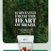 Cassava Flour Grain-Free, Gluten-Free, Non-GMO Ideal for Baking & Cooking, 2lb Brazilian Natural Company view 3