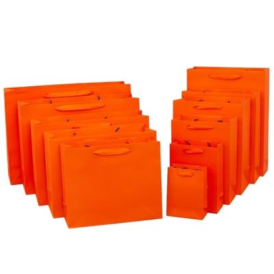 10pcs Paper Gift Bags with Handles, Paper Party Favor Bags for Christmas, Favor, Birthday, Wedding, Events(Orange,Horizonta 22X10X18CM)