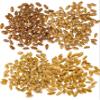 Palouse Brand Certified Glyphosate Residue Free Hard White, Soft White, Red Spring and Winter Wheat Berries | 4 LBS | Non-GMO Project Verified | Kosher (4-1 lb bags) view 2