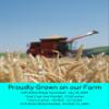 Palouse Brand Certified Glyphosate Residue Free Hard White, Soft White, Red Spring and Winter Wheat Berries | 4 LBS | Non-GMO Project Verified | Kosher (4-1 lb bags) view 4