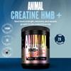 Animal Creatine HMB Powder x Smarties - 3g myHMB + 5g Creatine Monohydrate Powder with Electrolytes for Muscle Growth, Recovery, Endurance, Pre/Post Workout - Smarties Flavor, 30 Servings view 2