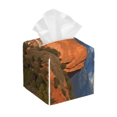 Pikes Peak Colorado Cube Tissue Box Holders Pu Leather Square Tissue Box Cover Modern Waterproof Facial Paper Holder for Bathroom Kitchen Nightstand Office Home Decor