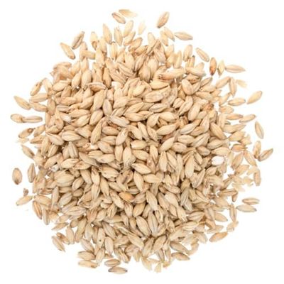 2 Row Malt 5 lb Barley for Home Brewing Beer, Distilling Moonshine, Whiskey