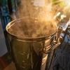 2 Row Malt 5 lb Barley for Home Brewing Beer, Distilling Moonshine, Whiskey view 2