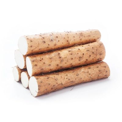 Fresh Nagaimo Japanese Mountain Yam Dioscorea Japonica Nagaimo Root, Perfect for Japanese recipes - Import from Japan (5 Pounds)