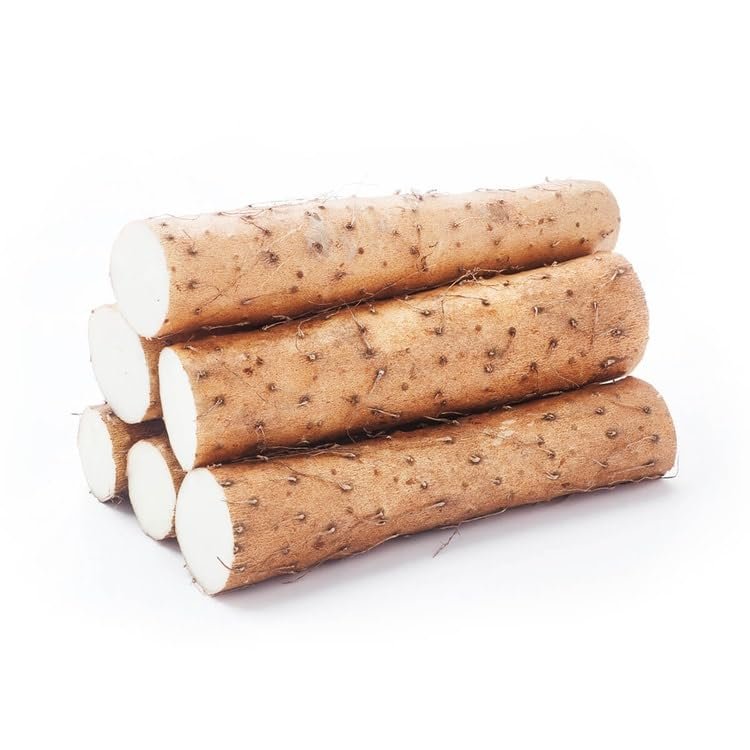 Fresh Nagaimo Japanese Mountain Yam Dioscorea Japonica Nagaimo Root, Perfect for Japanese recipes - Import from Japan (5 Pounds)