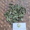 Daun Pecut Kuda (MaStachytarpheta jamaicensis) Blue Porterweed Dried Leaves (80 gram) view 4